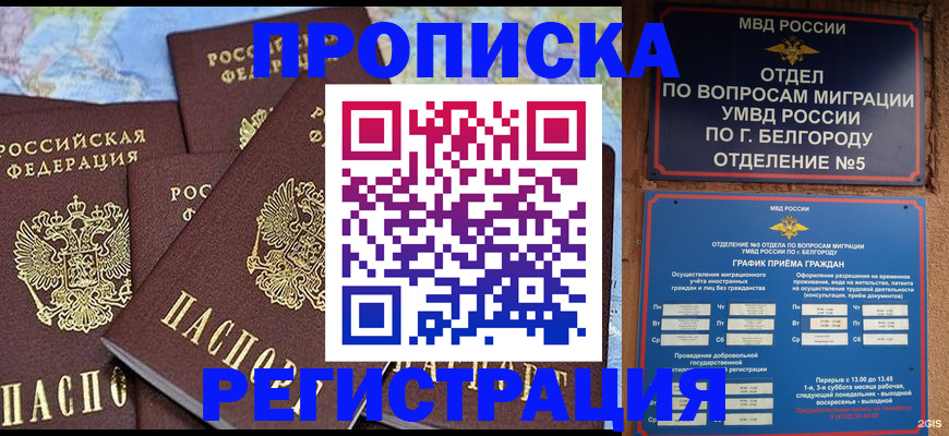 временная регистрация гарантия в Ульяновске